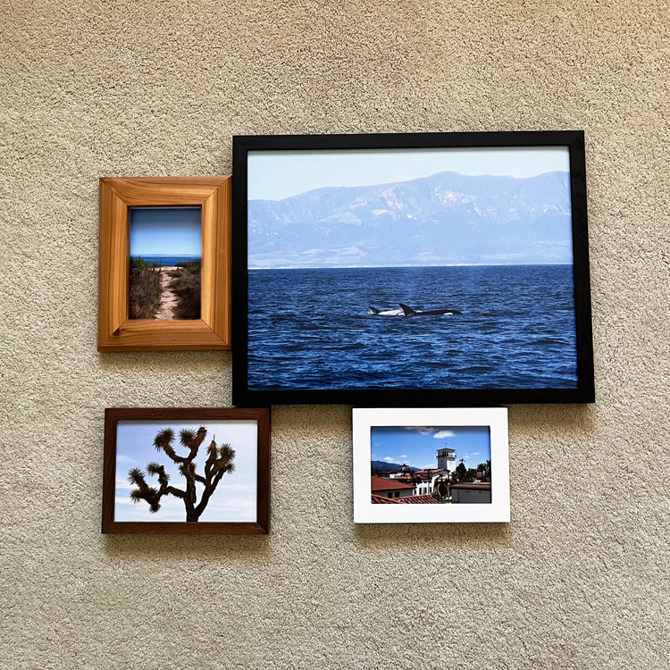 Framed Photographs
