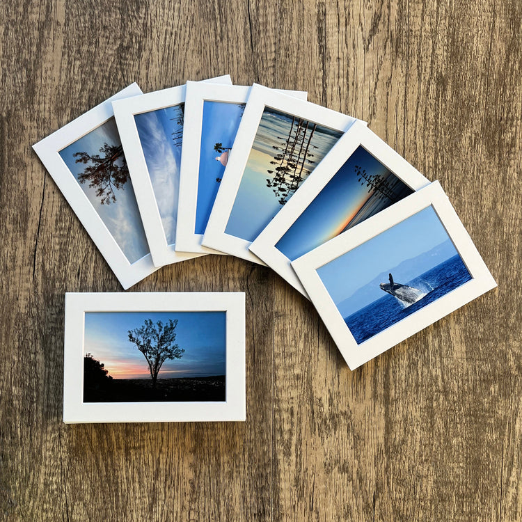 Matted Photographs