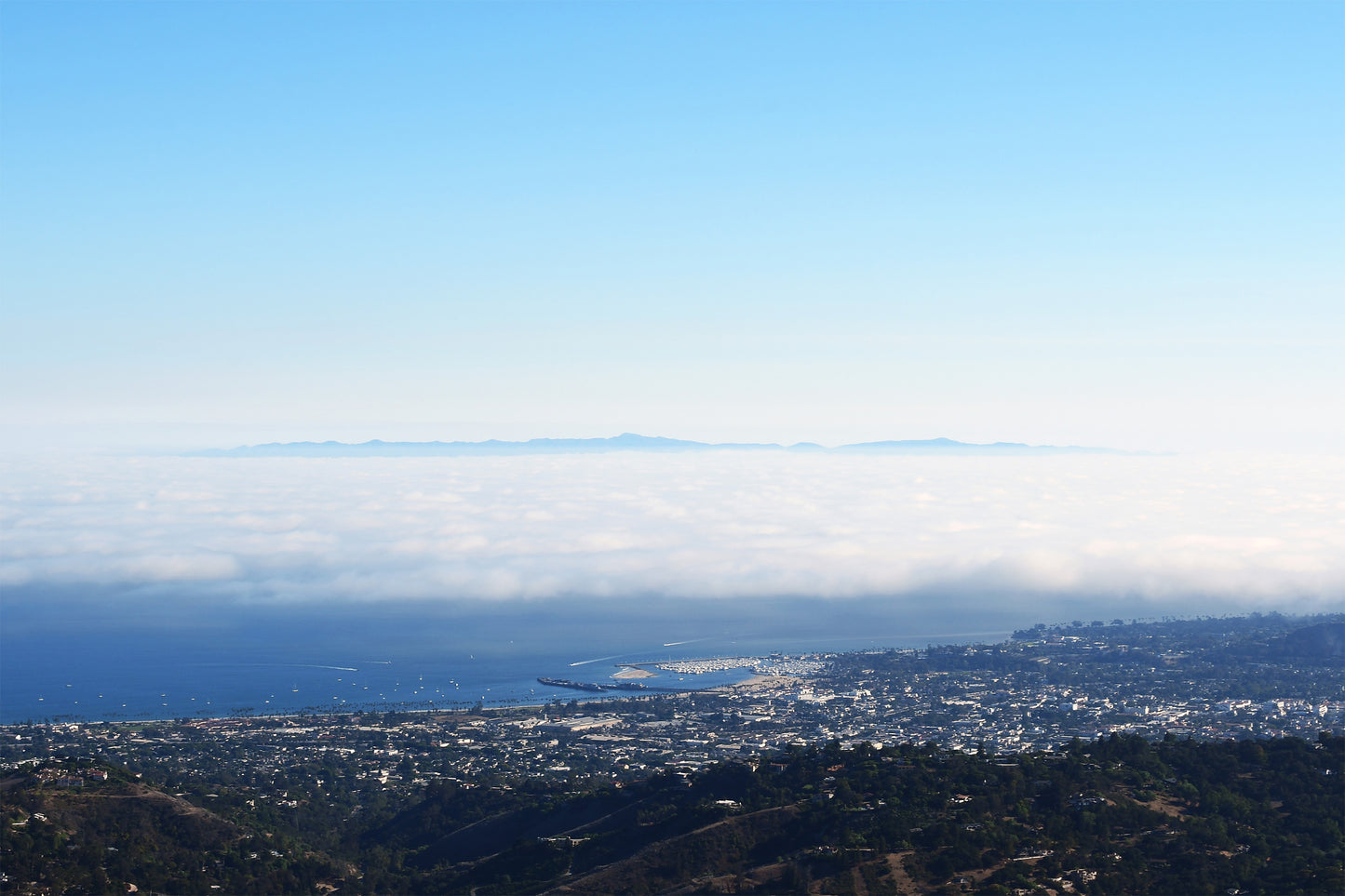 Matted East Camino Cielo