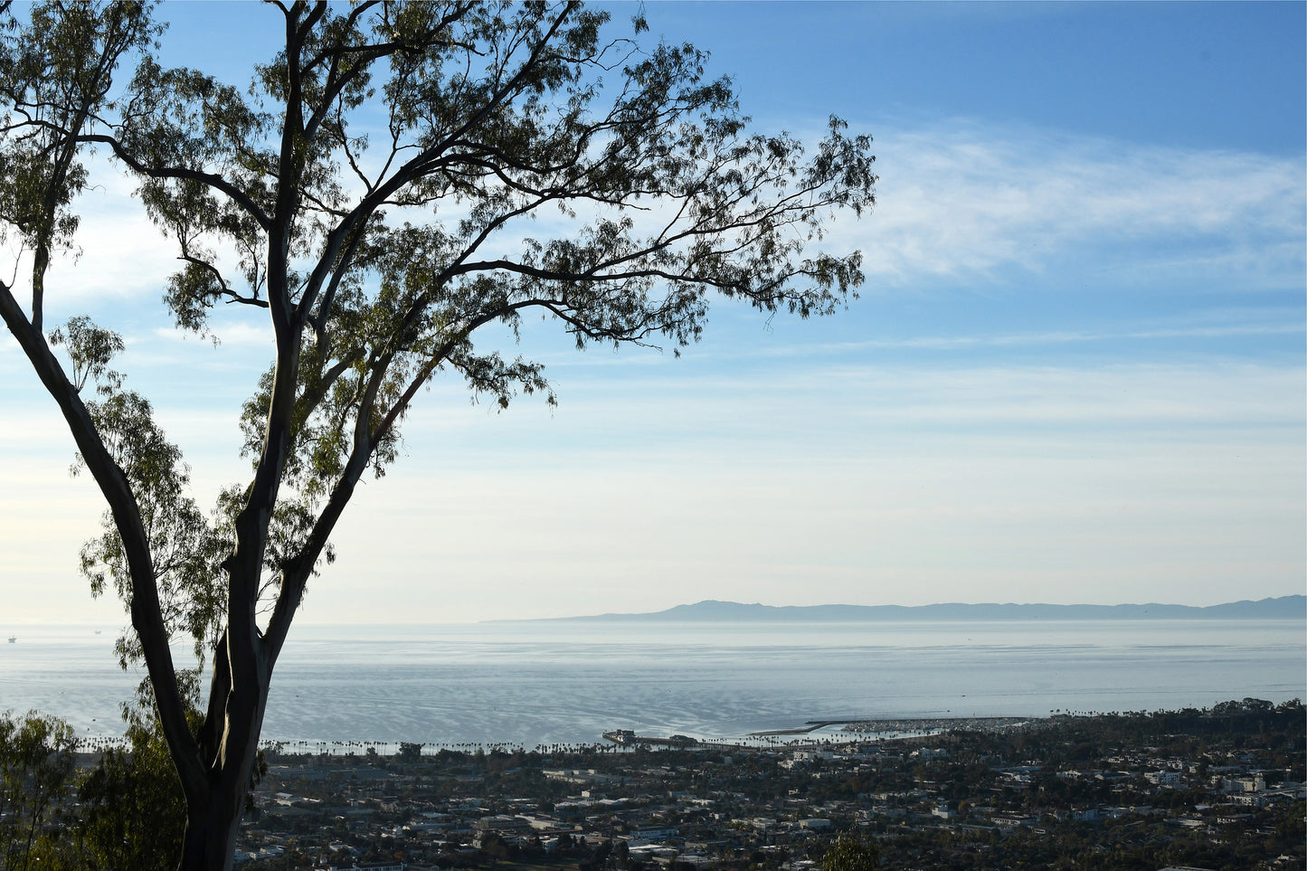 Framed Franceschi Park