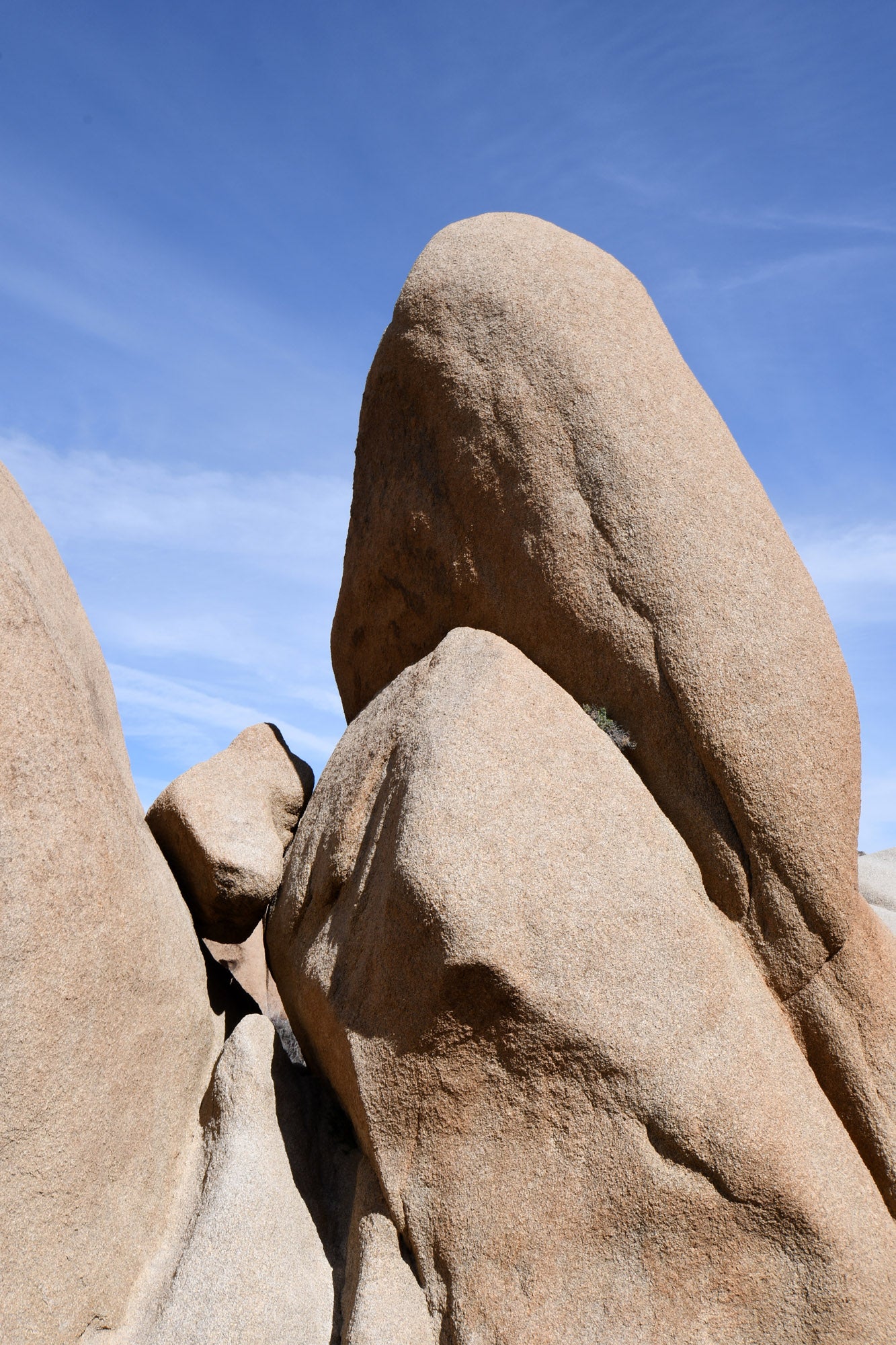 Framed Joshua Tree Rocks