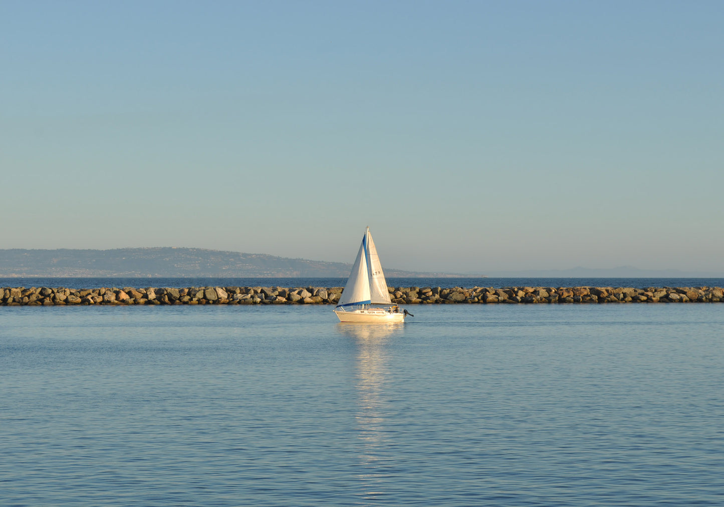Framed Marina Del Rey Sailboat