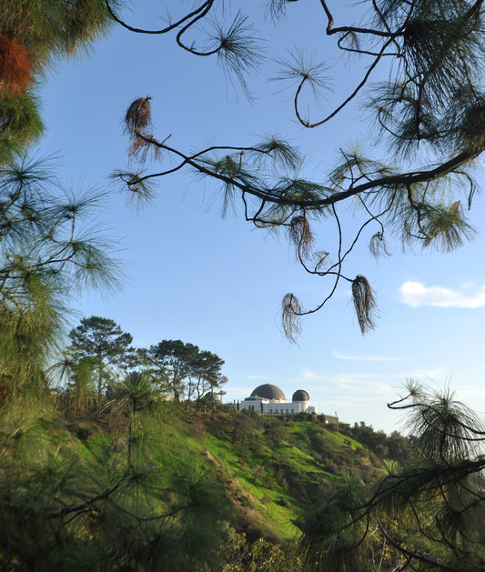 Canvas Griffith Observatory