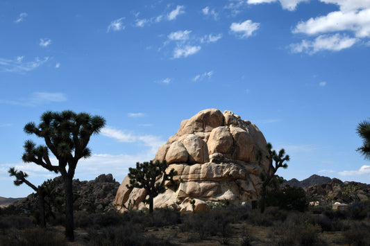 Framed Joshua Tree Rocks
