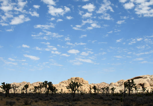 Framed Joshua Tree Rocks Silhouette
