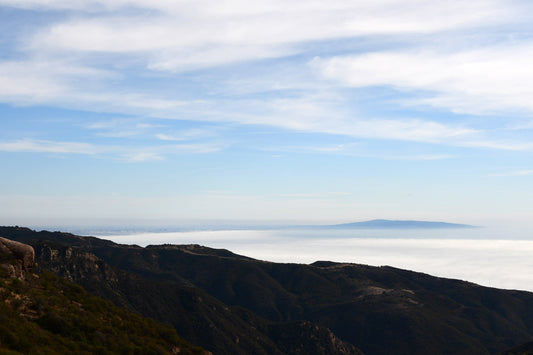 Framed Topanga Canyon