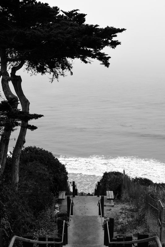 Matted Mesa Steps Black and White