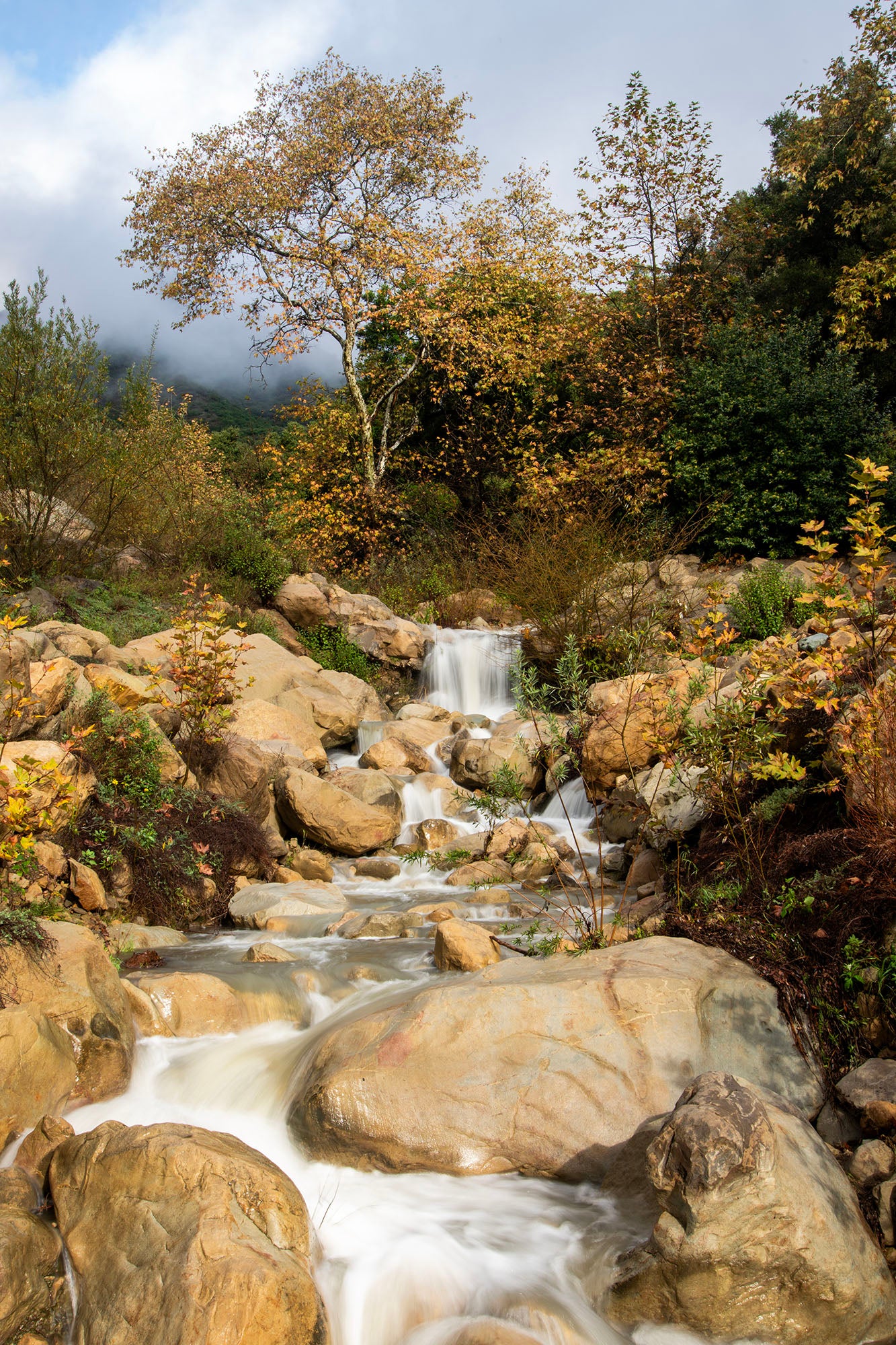 Romero Canyon