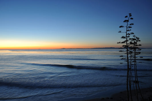 Matted Sands Beach Sunrise