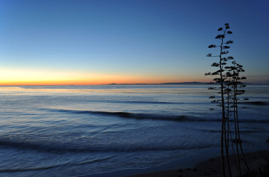 Framed Santa Barbara Sands Beach Sunrise