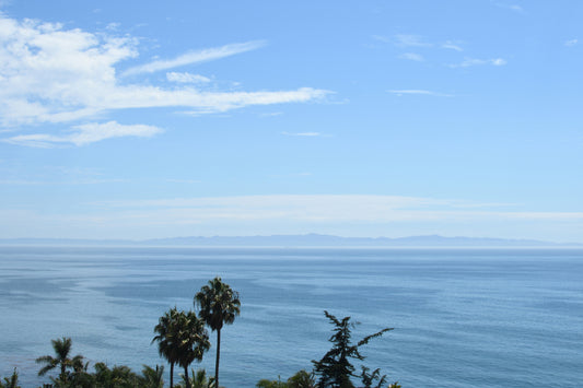 Matted Santa Cruz Island